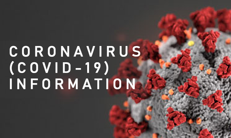 Coronavirus live updates: map, case counts and news